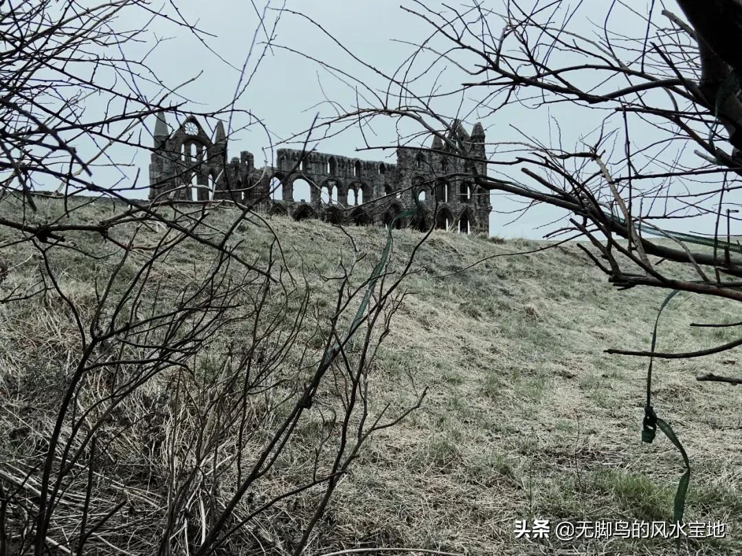 英国见闻,英国见闻最新视频