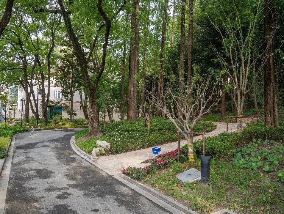 鲁迅公园在闭园一年后重新开放,鲁迅公园暂停开放了吗