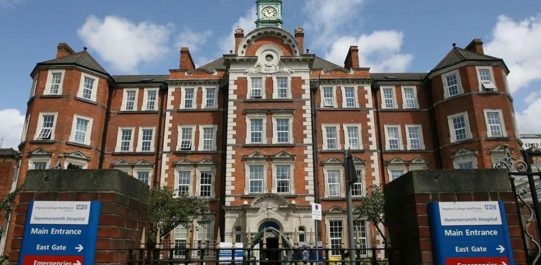 番茄留学,番茄留学国际申请