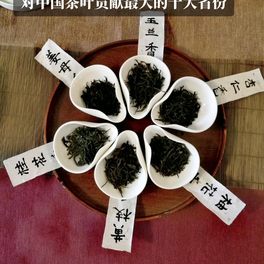 茶叶直播,茶叶渣养什么花最好