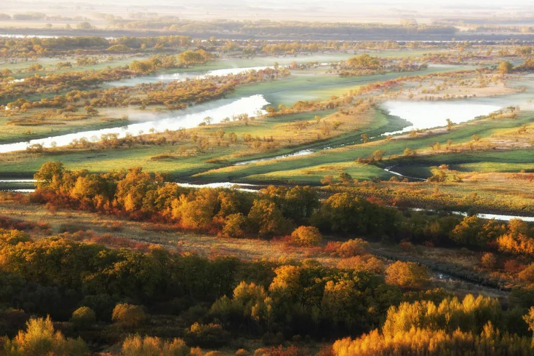 东北偏僻山村真实生活,东北冷不冷的真实生活