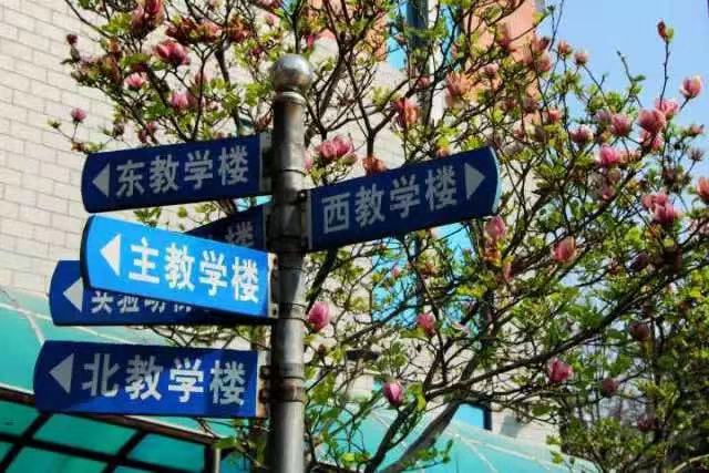 河北性价比超高的10所大学，王牌专业实力强，毕业就业香饽饽