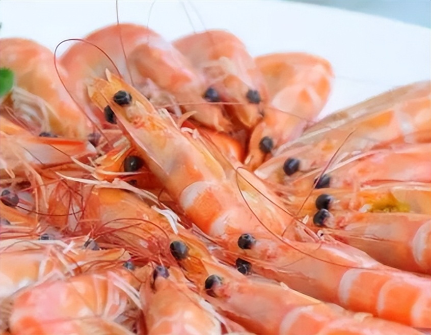 优质蛋白质和维生素的食物有哪些,减肥优质蛋白质碳水化合物食物