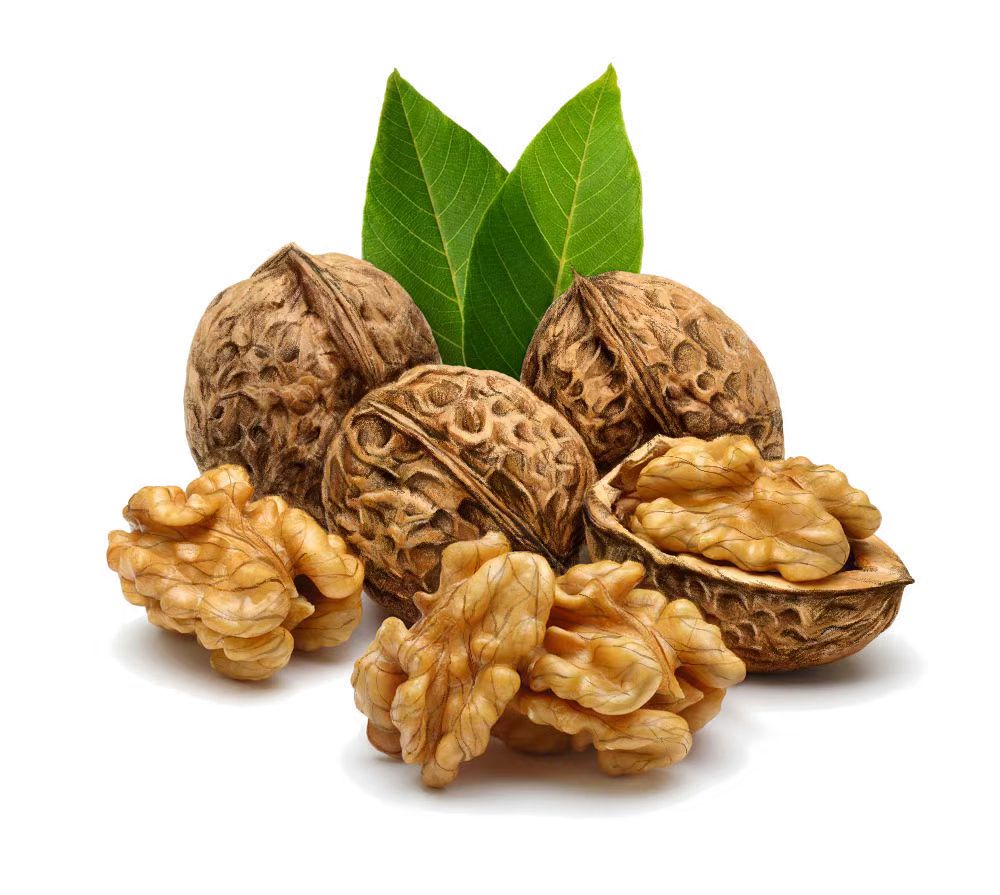 核桃油的正确食用方法婴儿,自榨核桃油的最佳食用方法