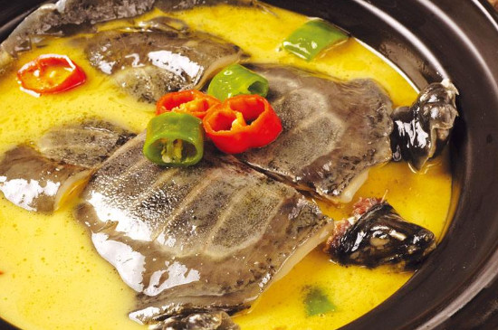 巴西龟是侵略物种吗,巴西龟泛滥成灾的危害