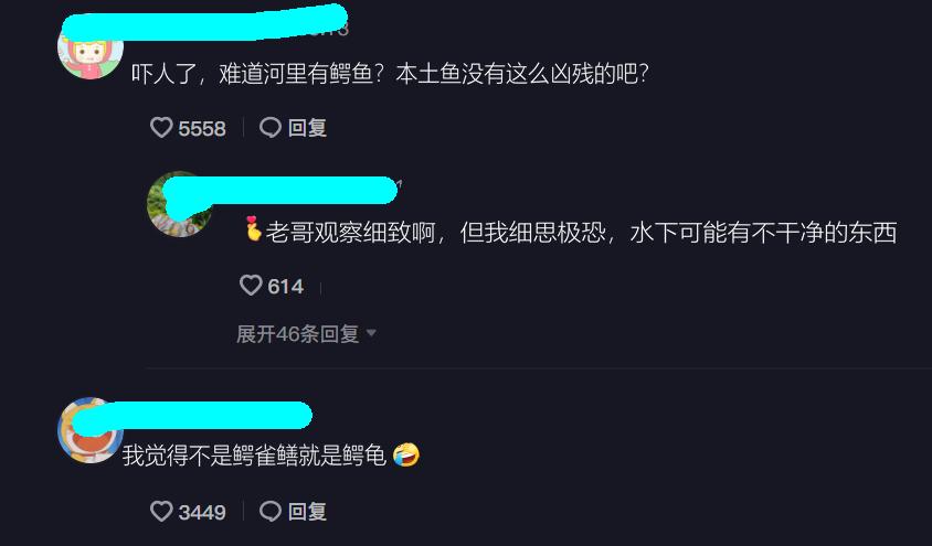 河里钓鱼鱼被咬了一半,钓鱼遇到被咬的鱼