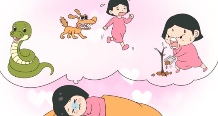 如果你睡觉总是做梦说明你很聪明,我来教你如何做梦