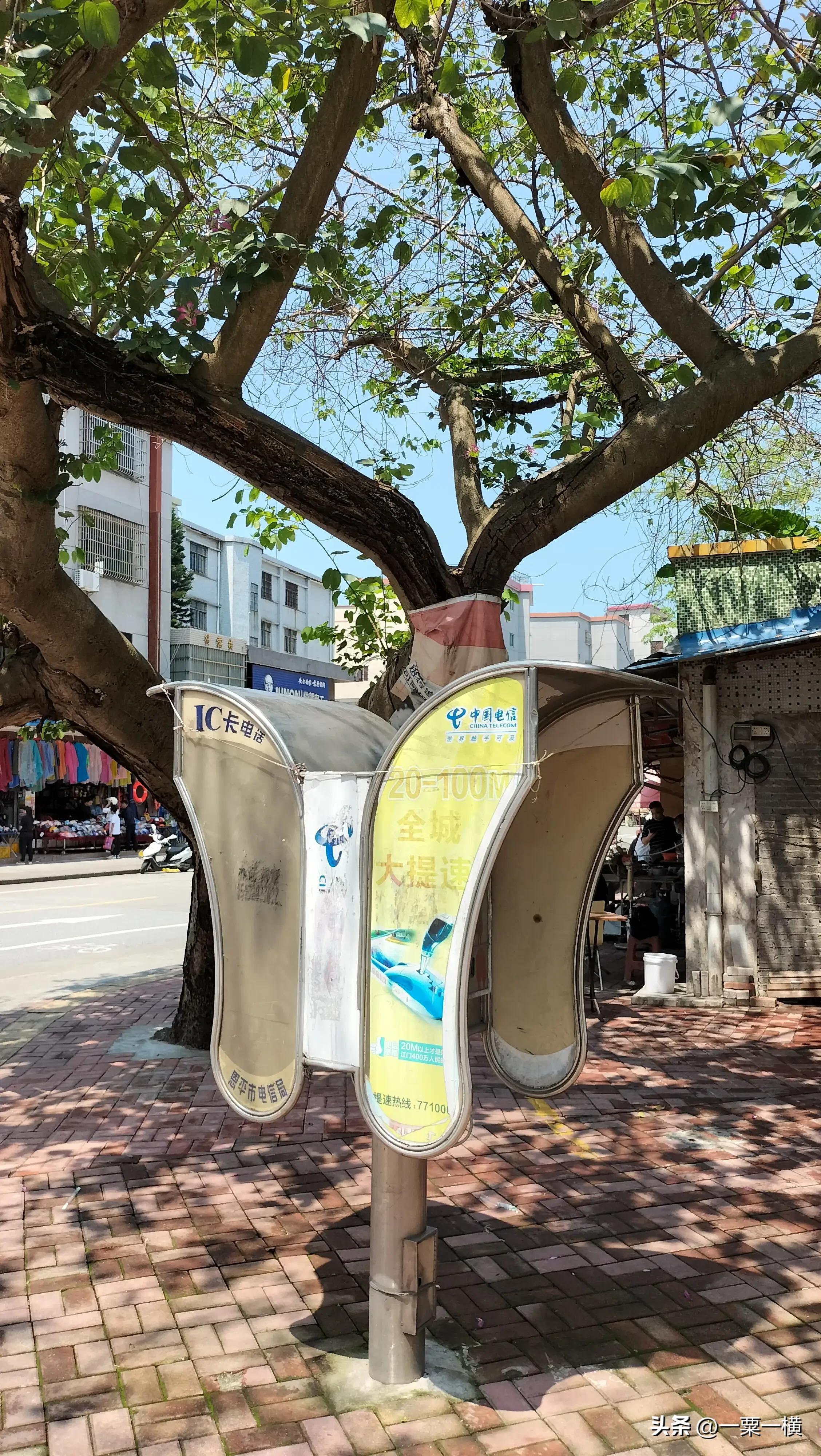 我哭的不仅仅是恩平