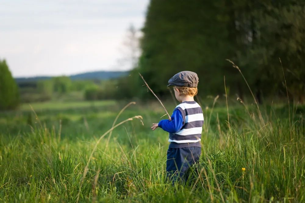 33岁我放弃了年薪百万的工作,我放弃了工作拿着所有积蓄做什么