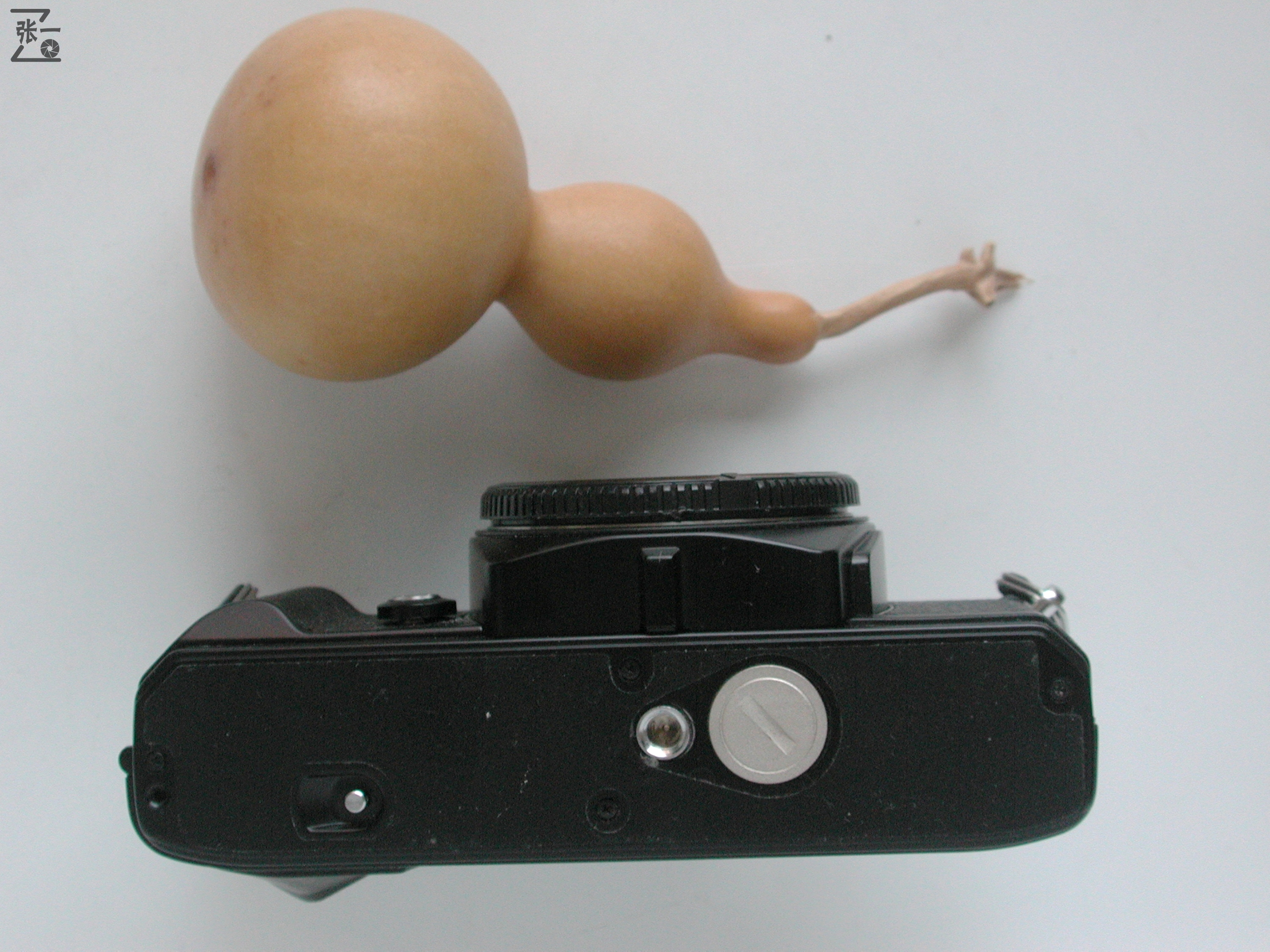 海鸥df-3单反相机,海鸥df单反