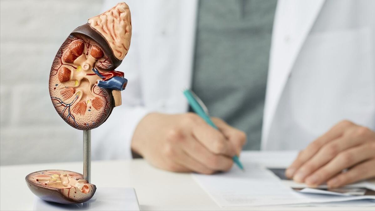 肾积水是会造成什么后果,肾积水能引起什么后果