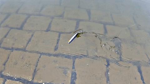 路亚小胖子假饵10g,路亚假饵亮片视频