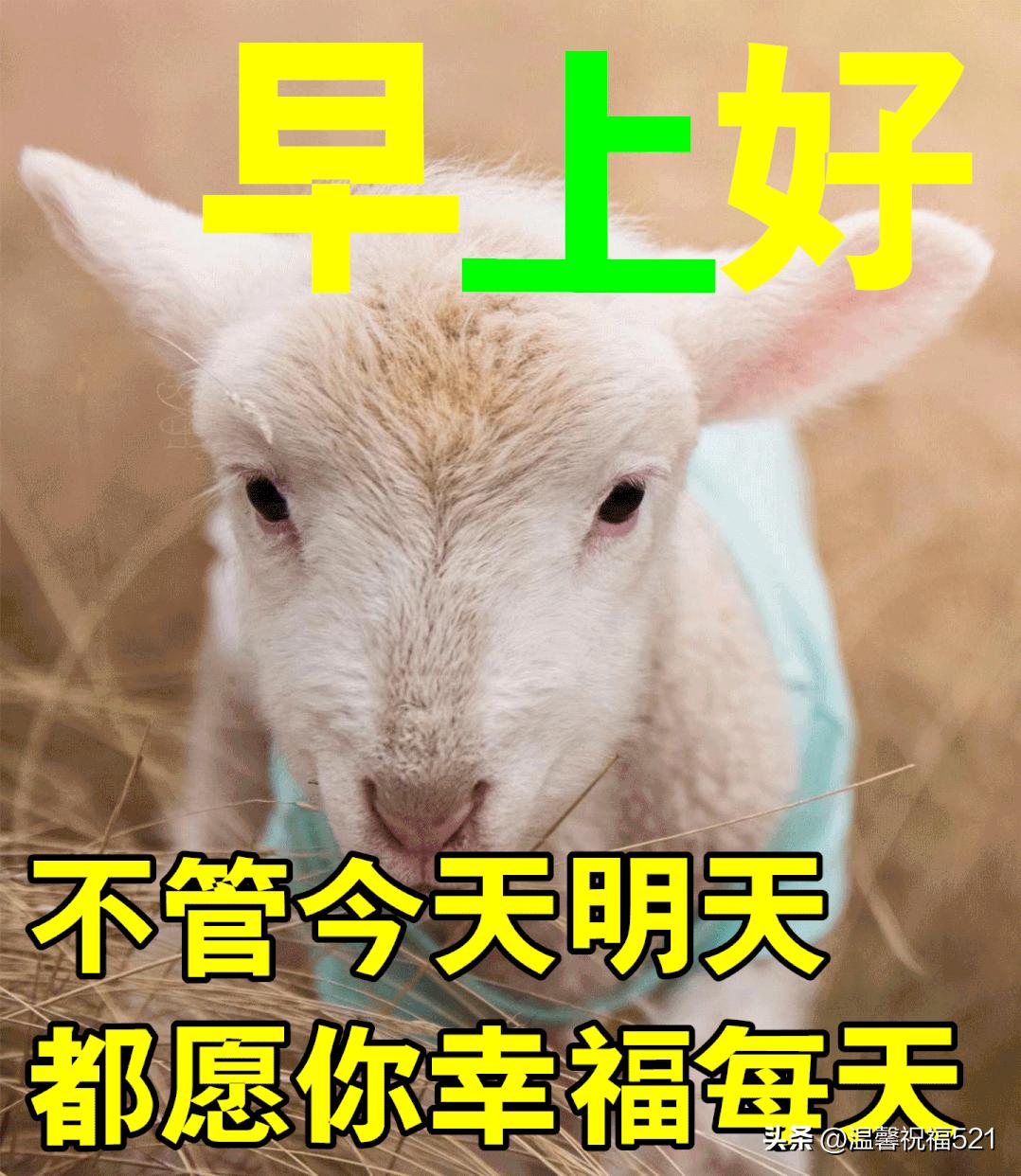 12月8日早上好,早安祝福语美好的一天从问候开始