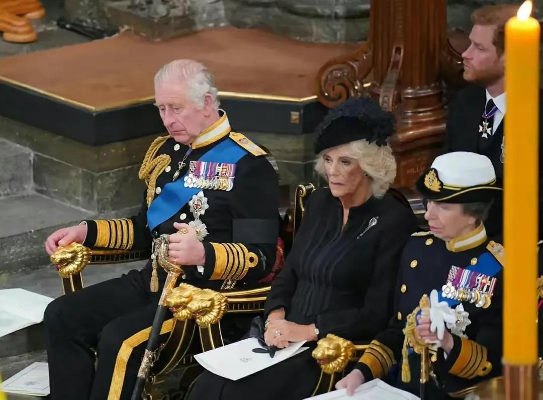 漫画讽刺查尔斯,英国讽刺漫画查尔斯解读