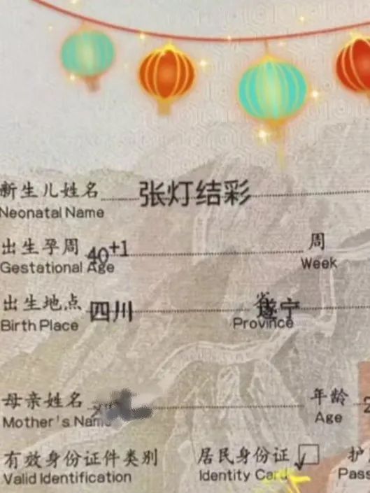 【椒言FM】没有十个脑洞想不出这个名字，给孩子取名要一鸣惊人也要符合法律法规