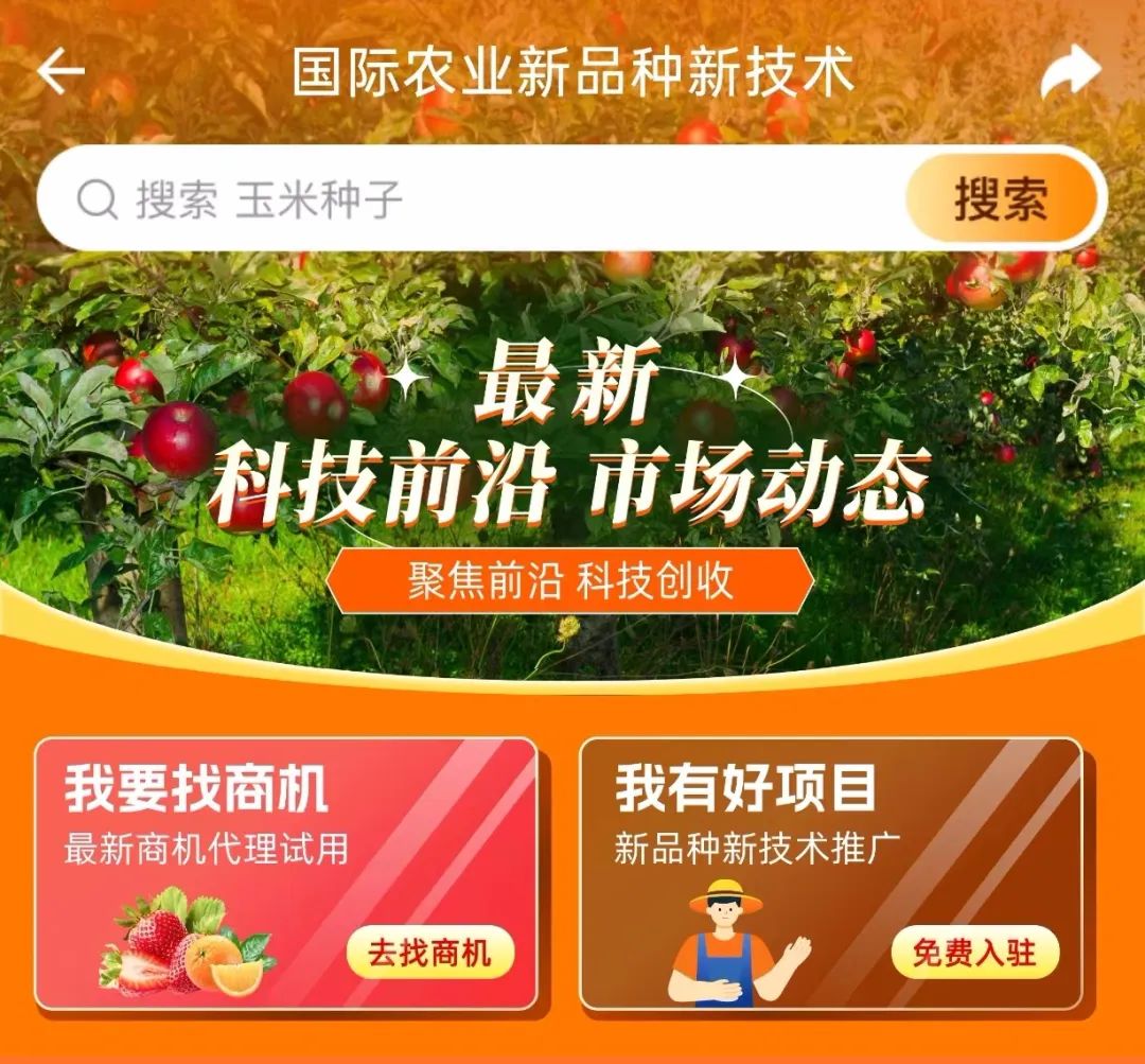 晚熟桃子多少钱一斤,含糖高的桃子品种的价格