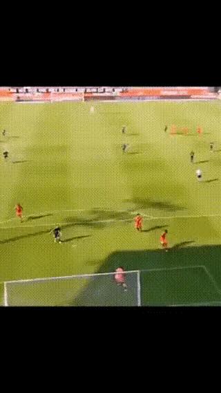 狗子看猫咪很轻松地就上去了，也学着来，结果把猫咪的窝给砸了