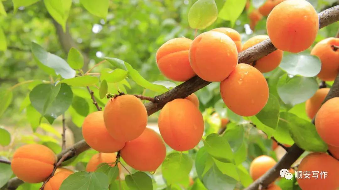 自主创业的好机会,从个人生活经历中寻找创业机会