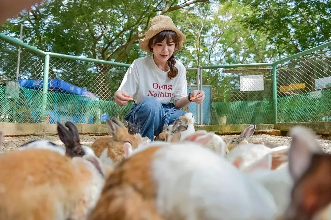 泰国曼谷旅游必去十大景区,泰国野生动物园亲子游