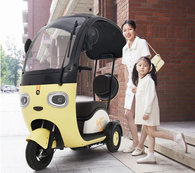 老年电动小三轮一般价格,带蓬电动小三轮价格大全