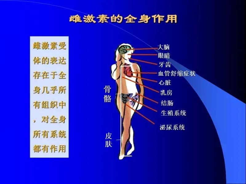 雄激素分泌旺盛是卵巢引起的吗,卵巢分泌少量雄激素的作用
