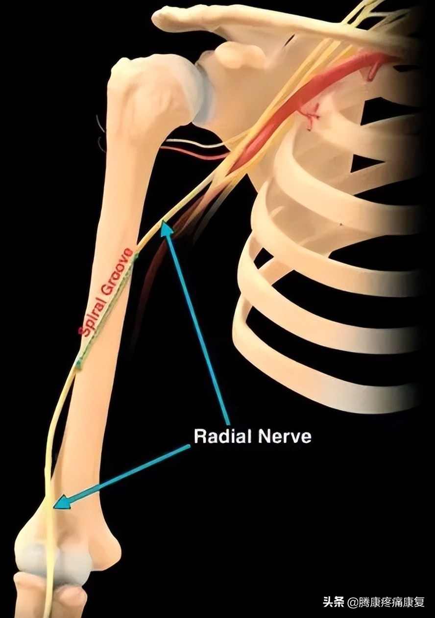 右肩与胳膊连接处疼痛是什么原因,胳膊向后抬疼痛是什么原因引起的