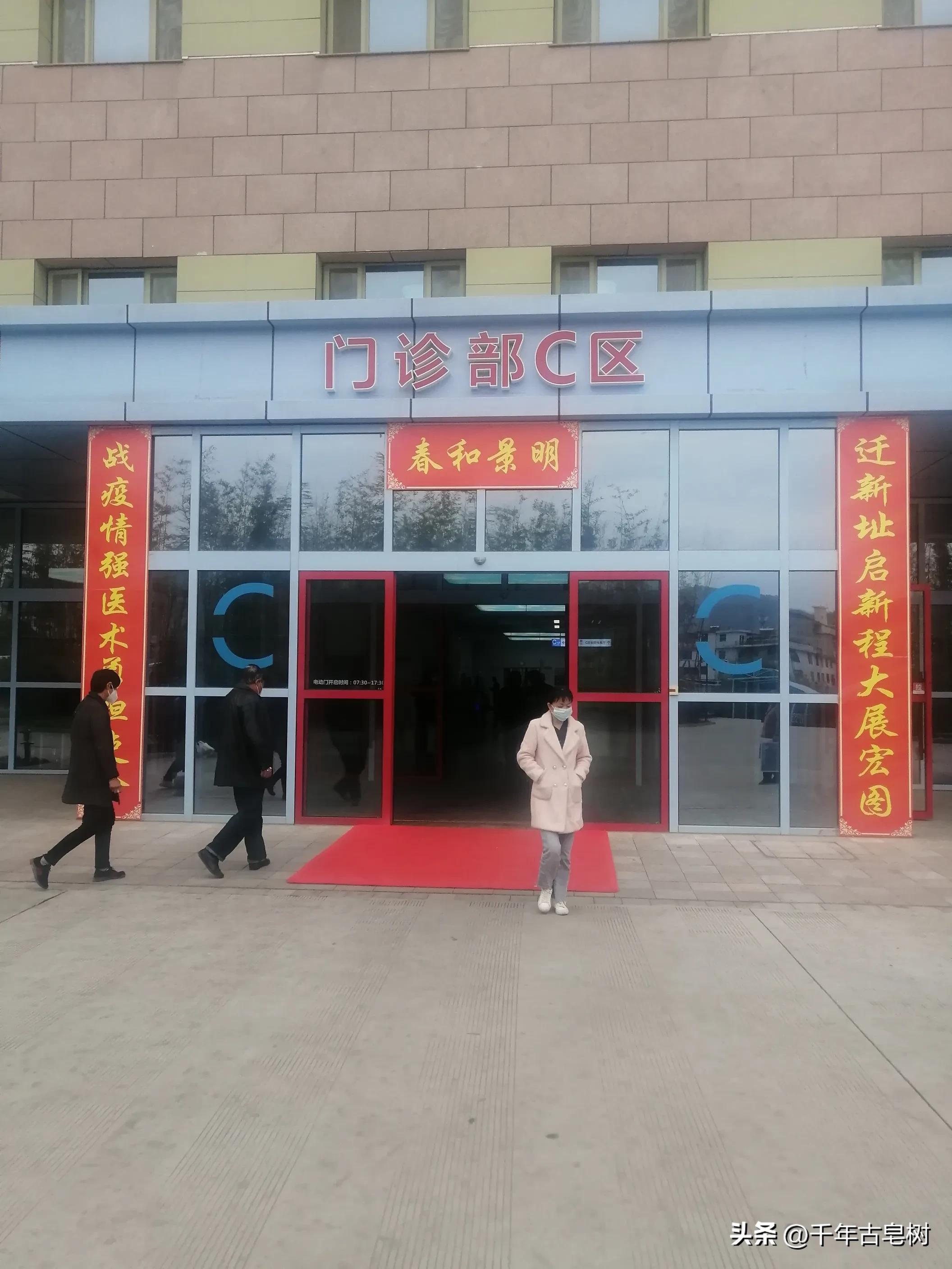 桃花在春雨中含笑翠竹在微风中舞蹈（腰市：李增强）