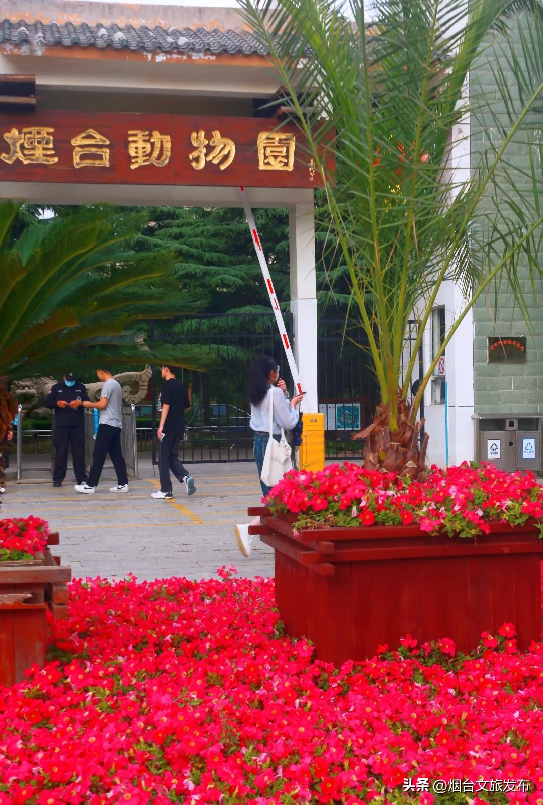 烟台值得去的公园,烟台旅游指南探索烟台最美景点