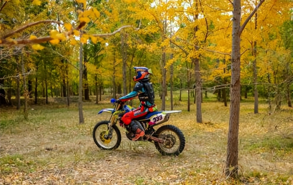 济南赏秋,秋天济南去哪里赏秋最好