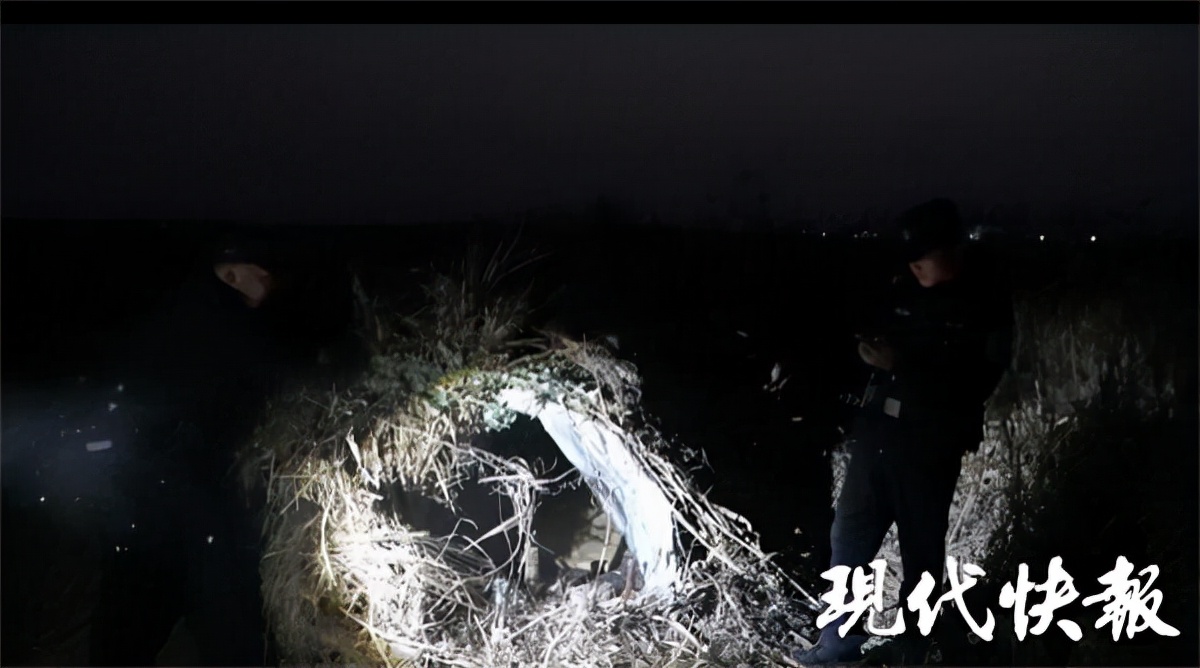 盐城海边偷猎为何屡禁不止？记者实地调查：芦苇荡里的“捞金”生意