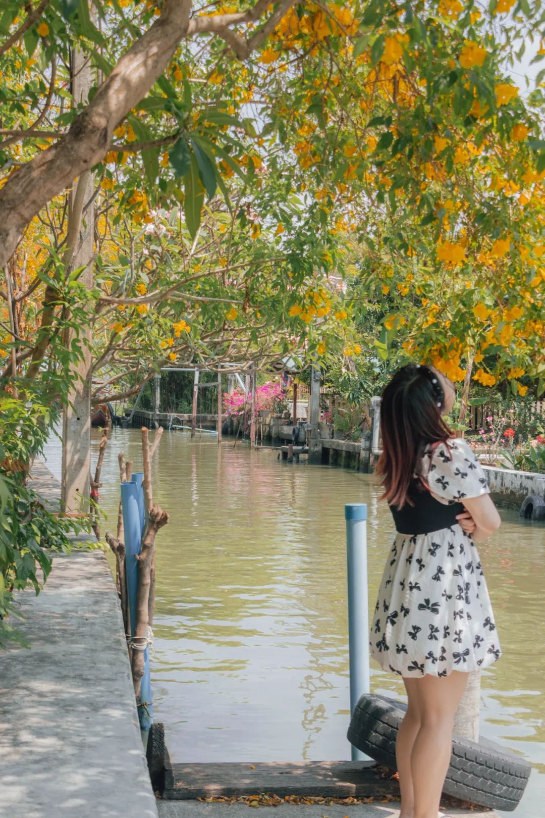 大数据推给想去泰国的朋友，万字长文玩转曼谷芭提雅