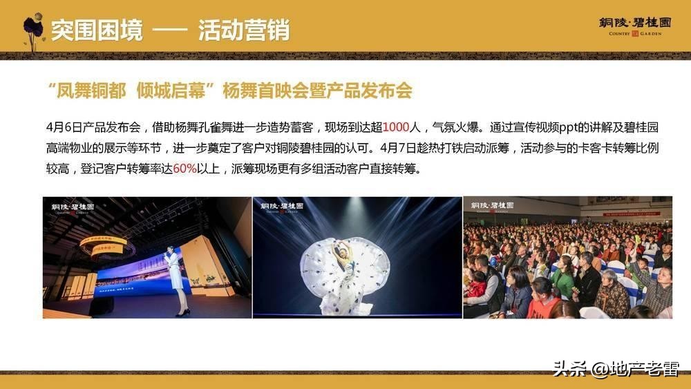 碧桂园房地产竞品分析,碧桂园房地产价格策略