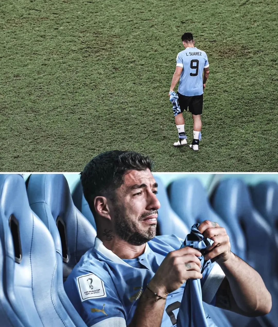 逗妹吐槽最新,逗妹吐槽视频