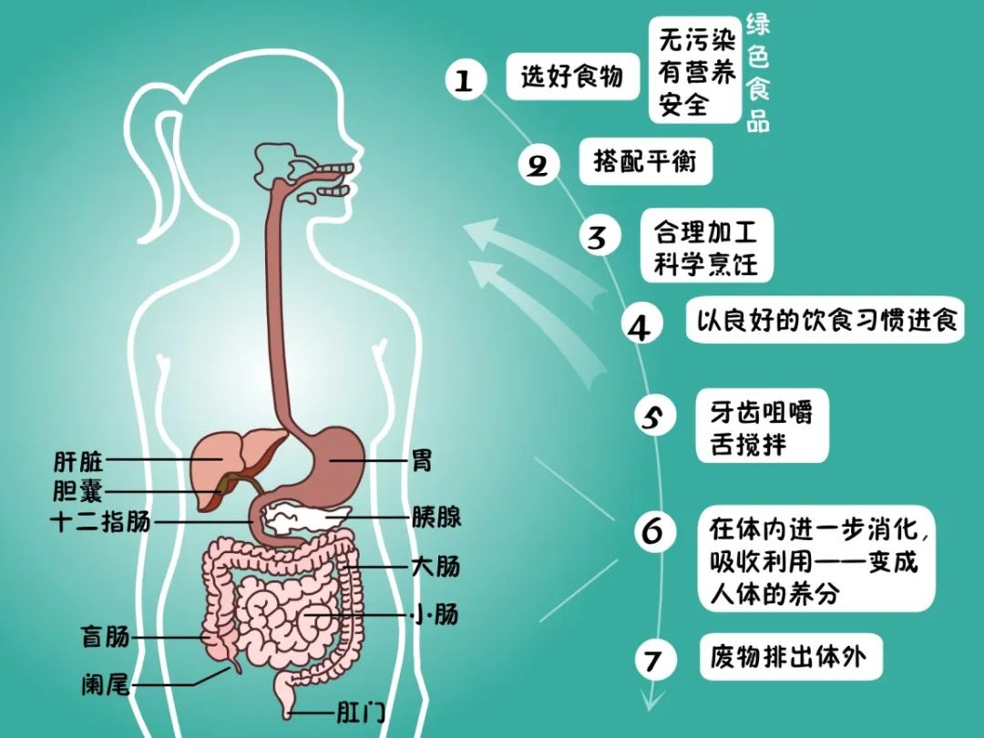 管住嘴迈开腿到底该怎么做,孕妇管住嘴迈开腿什么意思