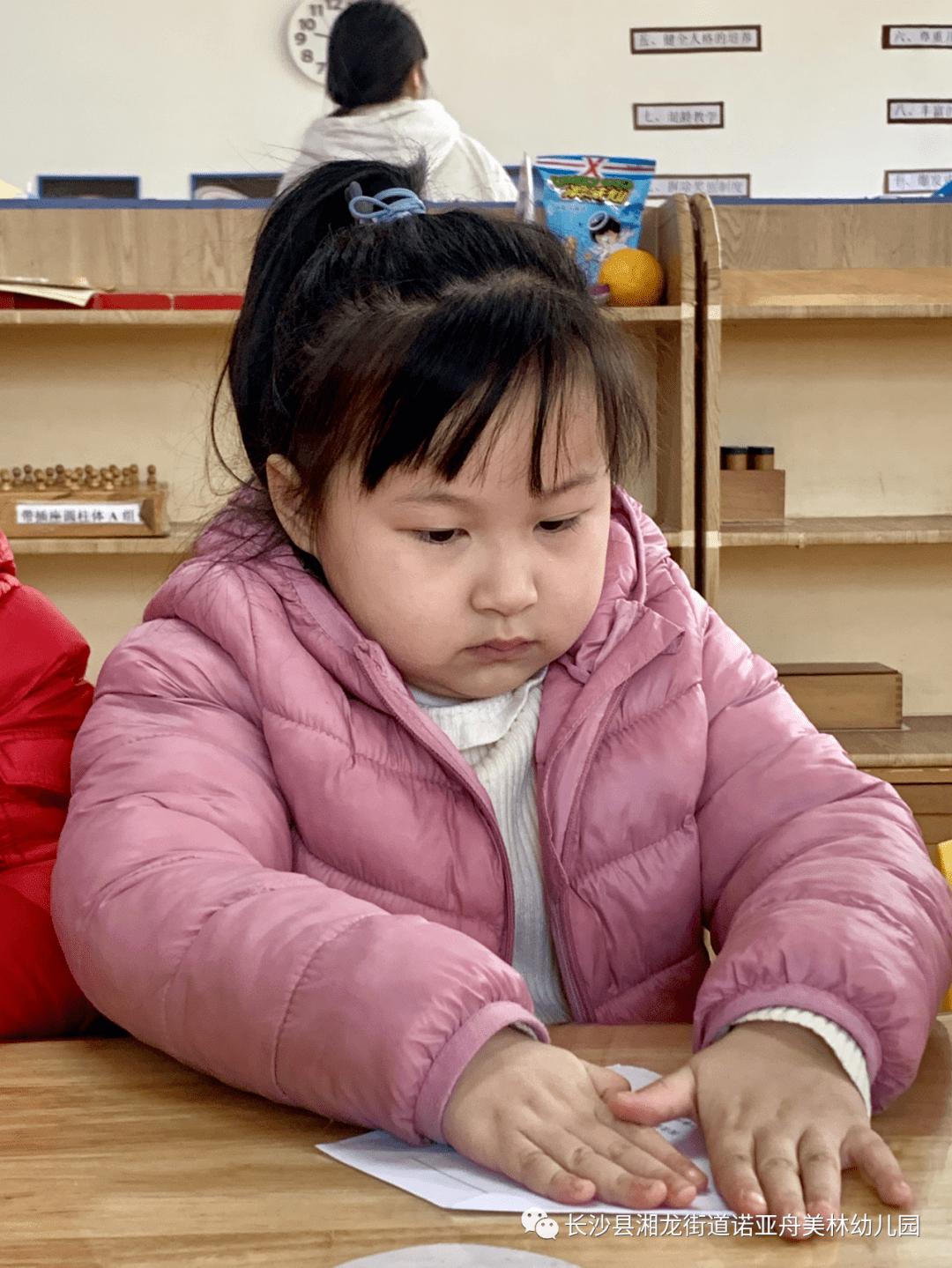 诺亚舟美林幼儿园CASA-A班蒙氏日常《折纸》