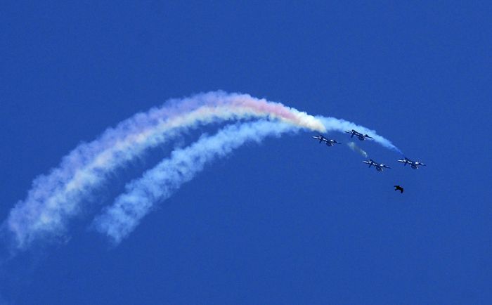 100个难得一见照片,难得一见12张照片