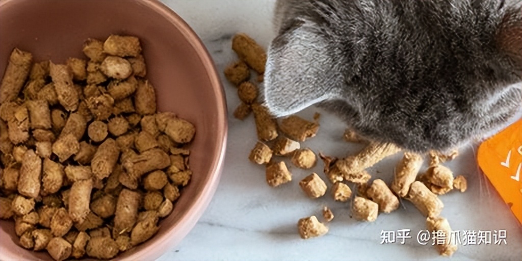 口碑公认好的国产猫粮排名前十,2023猫粮国内推荐性价比高排行榜