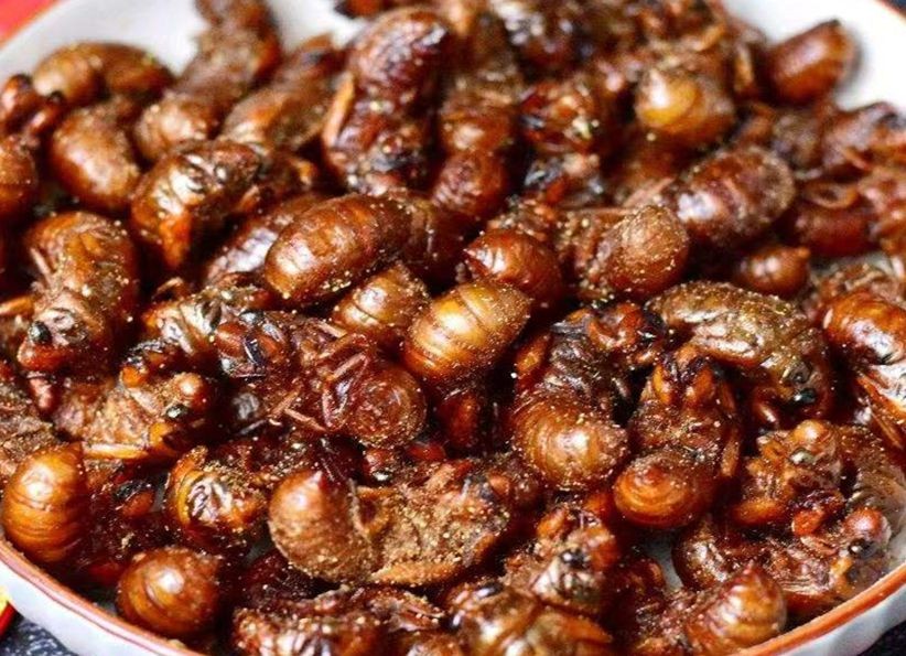 河南农村八大怪,农村8个怪菜