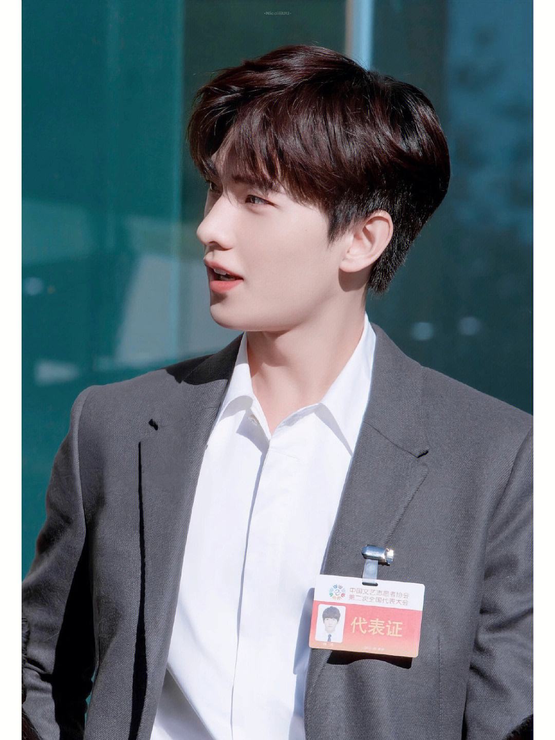 四川最帅十大男明星,十大越老越帅的男明星