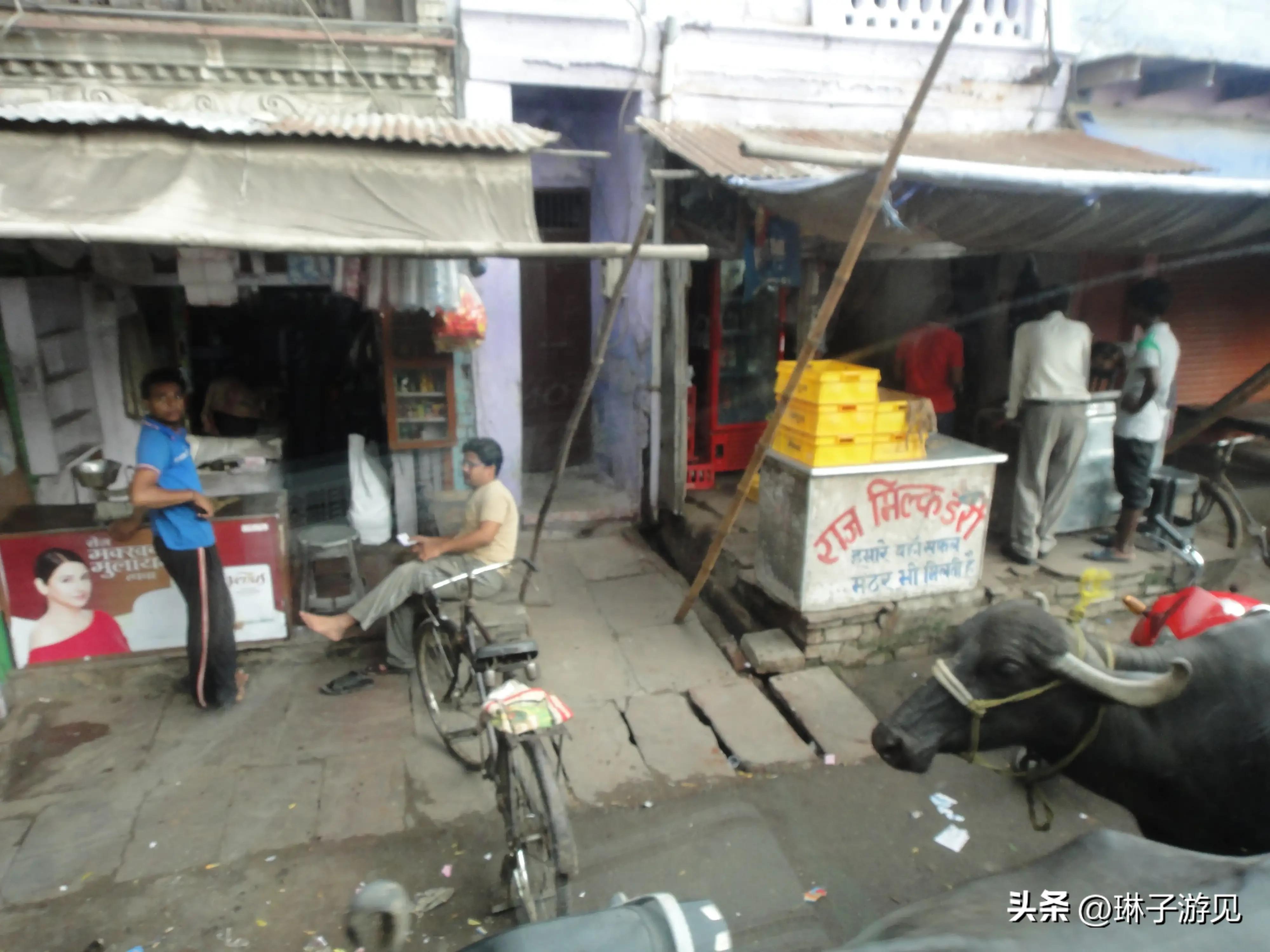 印度市井生活记录,印度人民百姓生活的纪录片