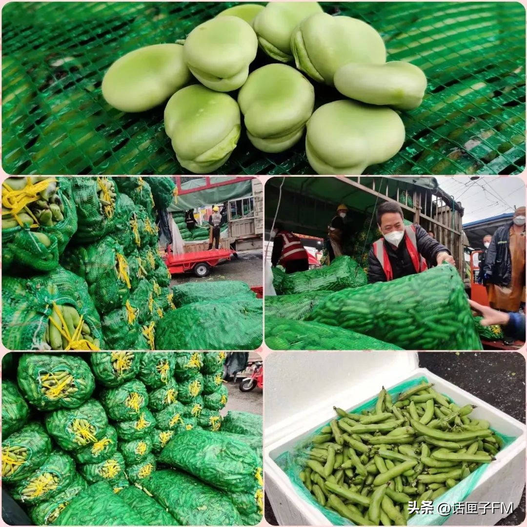 上海急招蔬菜配送司机,上海市招配送司机靠谱嘛