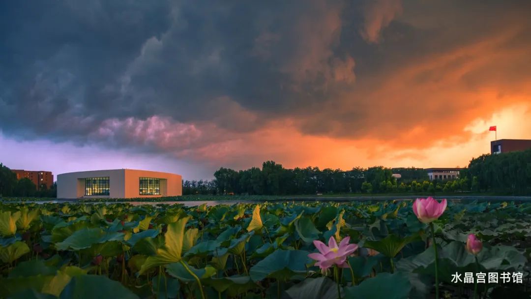 2021沈阳扩招全日制大专报名官网,沈阳2020专科扩招