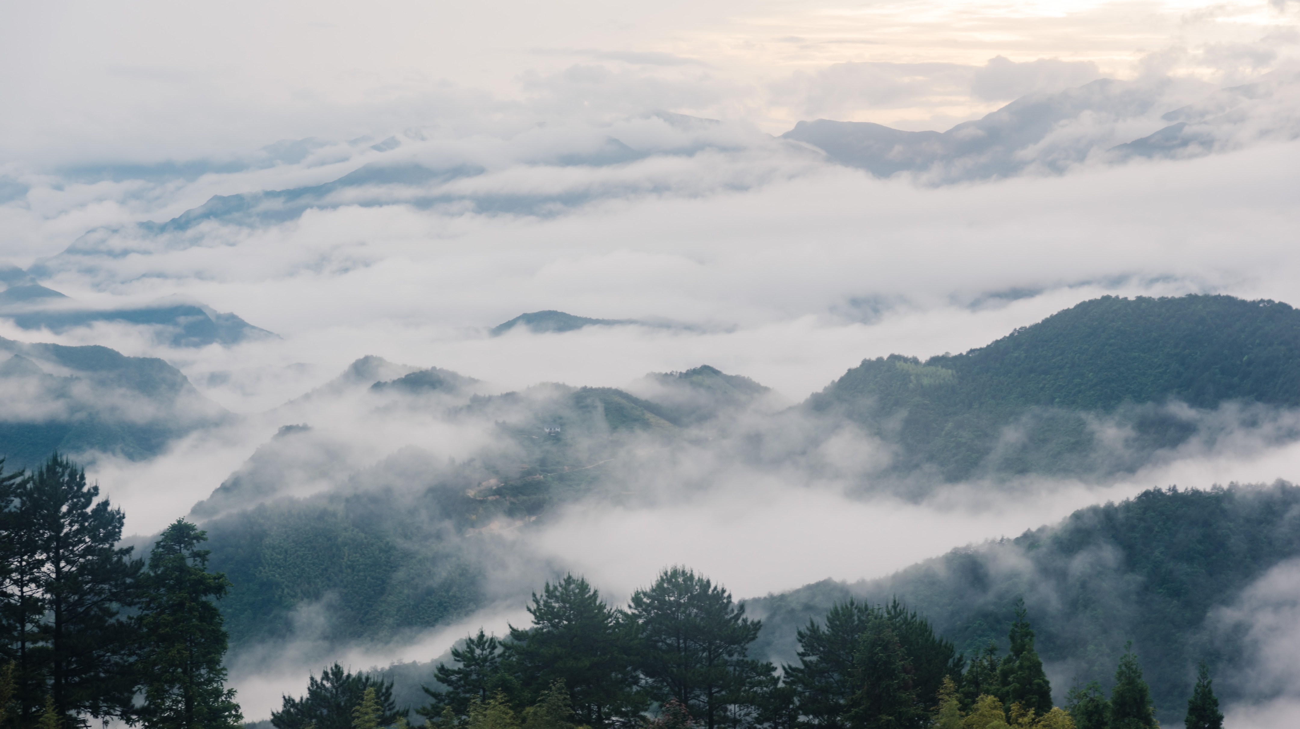 丽水遂昌旅游攻略一天游 (丽水遂昌被称旅游胜地)