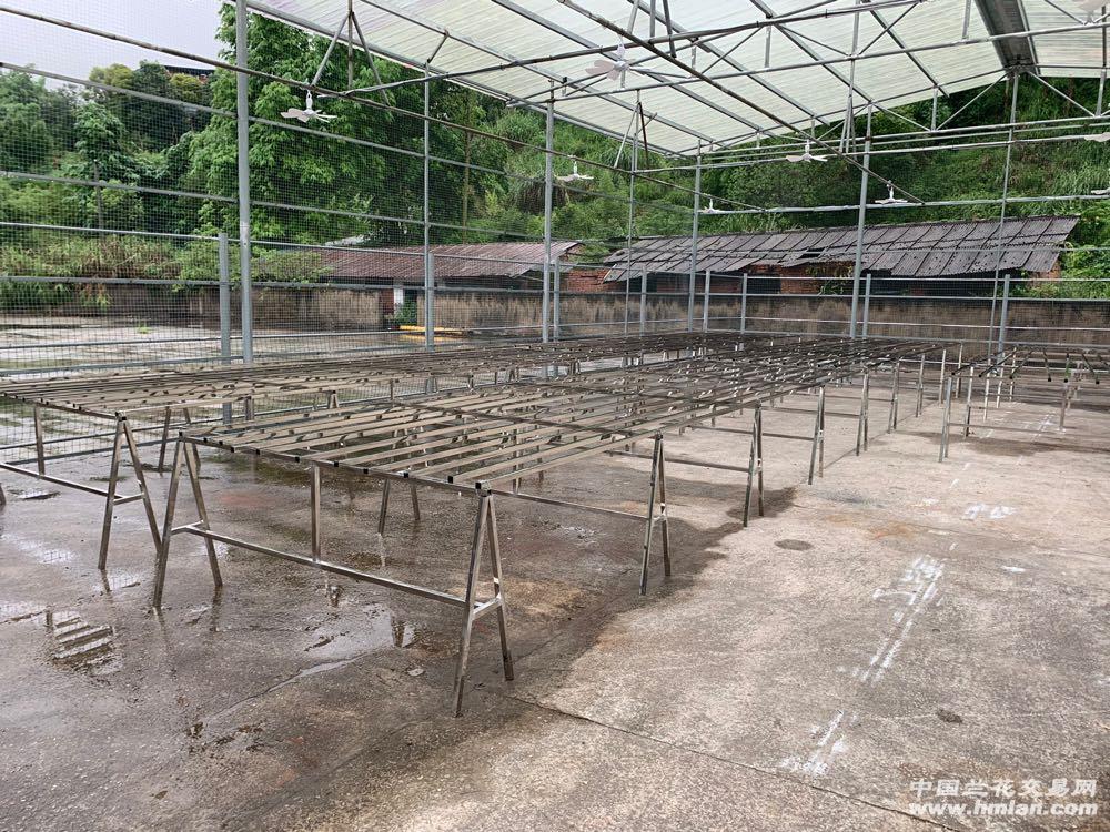 80鍚庡皬浼欏吇鍏扮殑骞冲焊鐢熸椿,90鍚庡吇鍏颁汉鎴愬姛妗堜緥