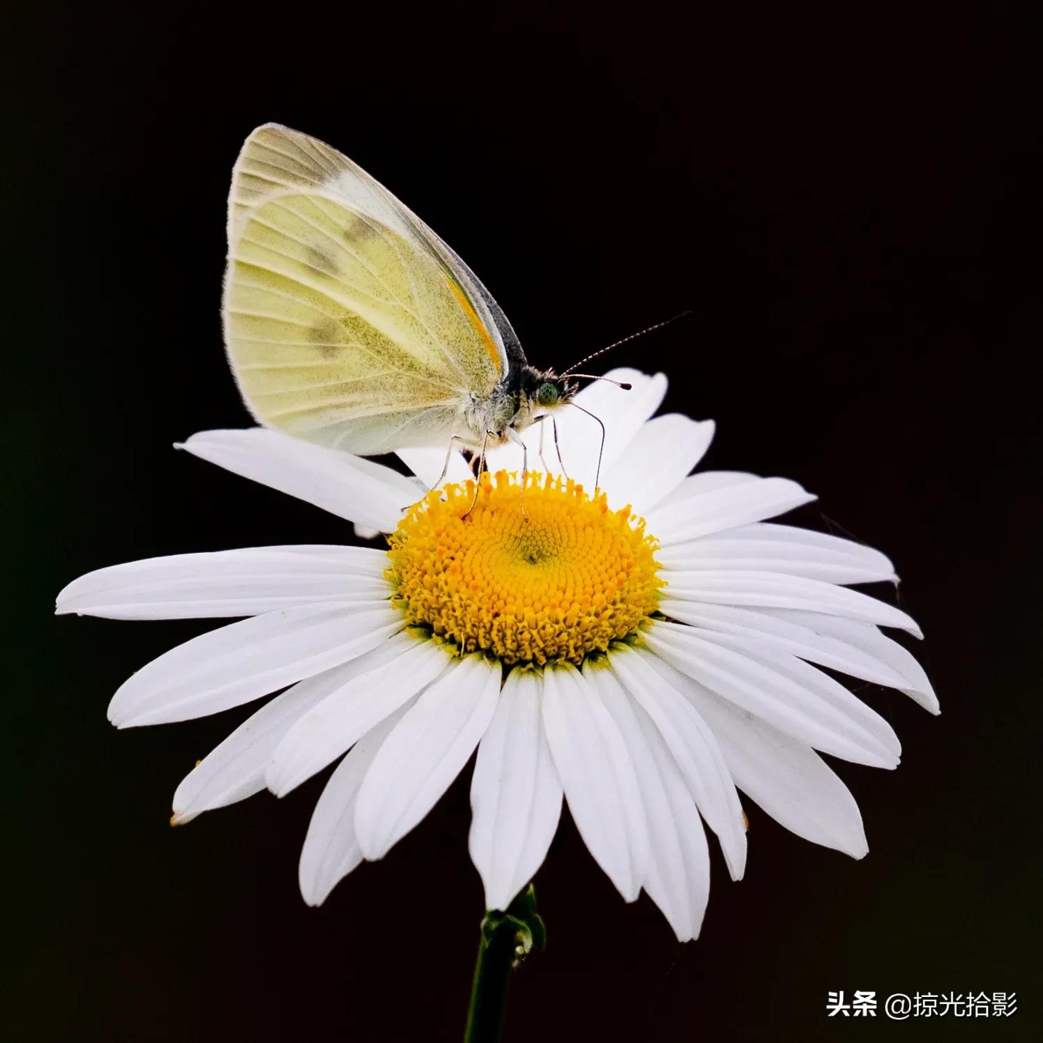 一路相伴此生无憾,缘分相伴此生无憾