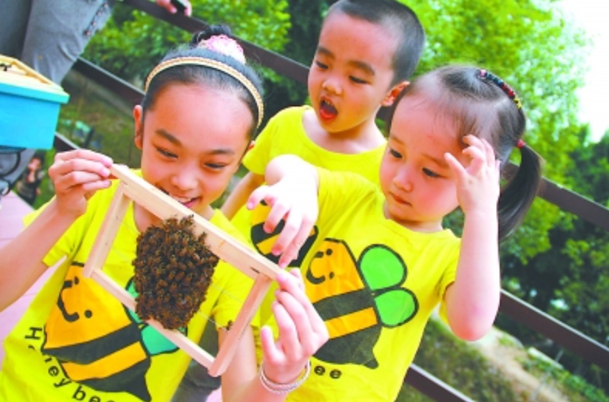 宝宝被蜜蜂蛰多久过危险期,孩子被蜜蜂蛰了怎么跟家长解释