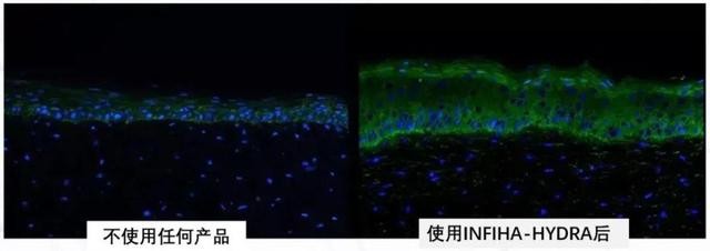 双11大牌美妆破价首战,双11大牌美妆囤什么