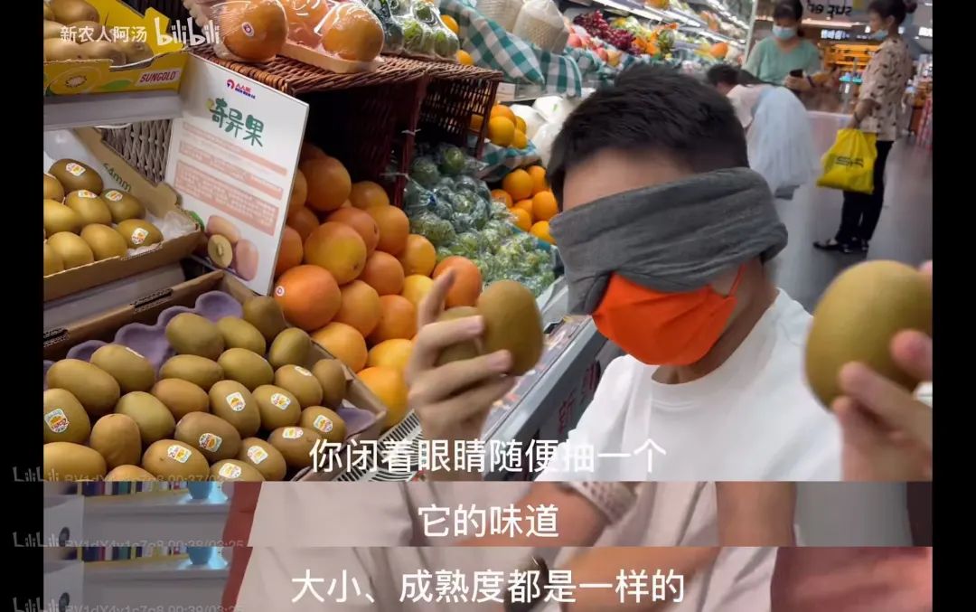 如何利用互联网+打造现代农业,现代化农业种植新模式