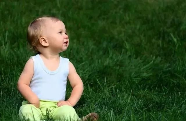 2023年农历十月生兔宝宝陈姓取名,2023年陈姓男宝宝五行土属木取名