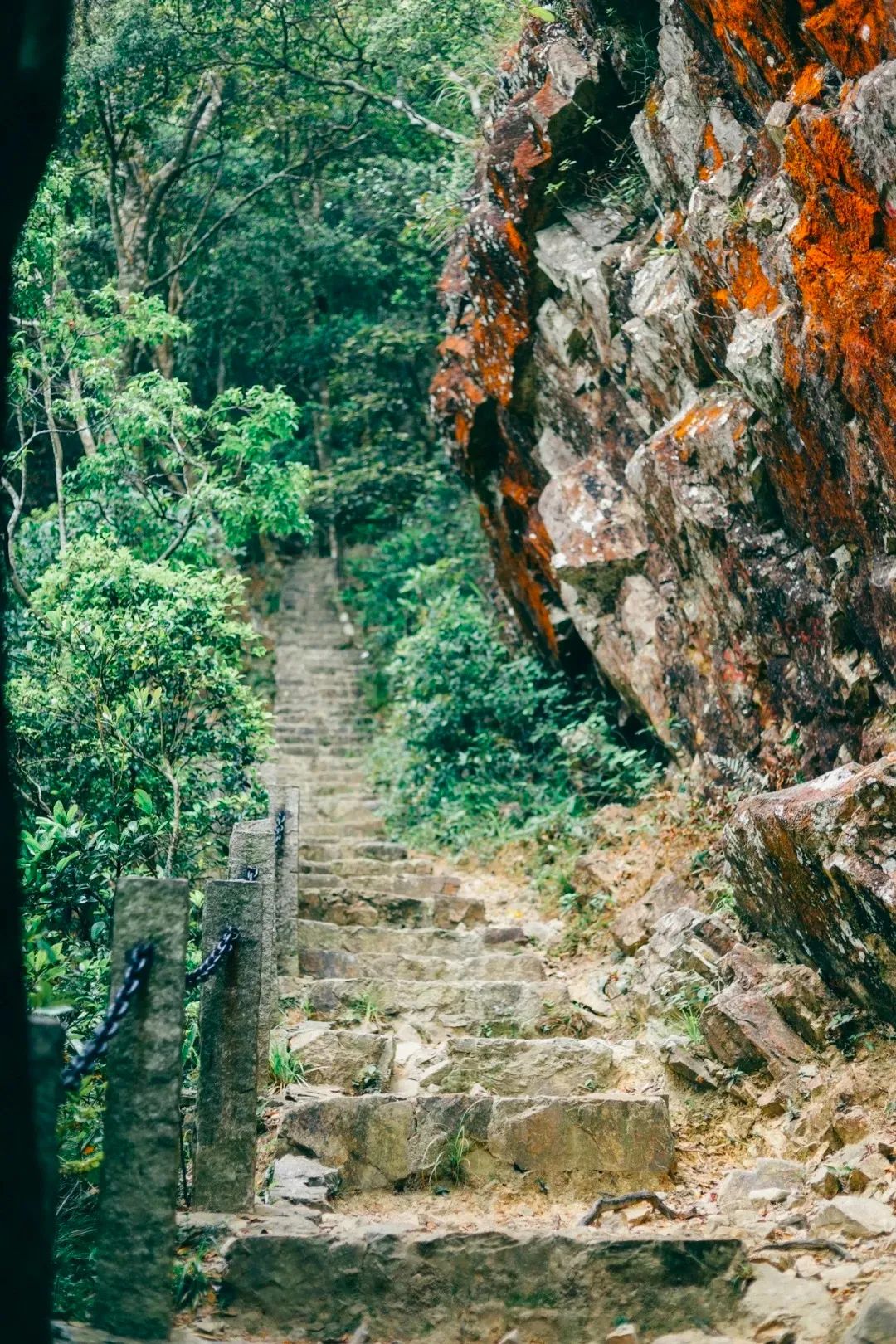 周末来深圳这10个地方免费玩,深圳周末去哪玩免费的地方